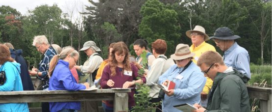 climate stewards working