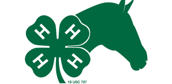 4-H Horse graphic