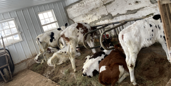 Herondale Farm 