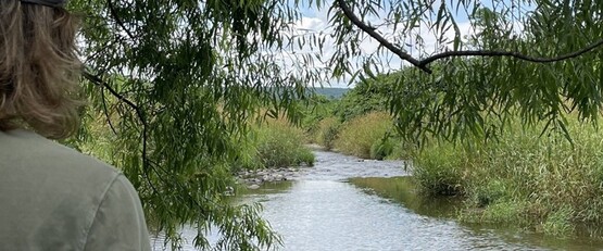 Batavia kill stream