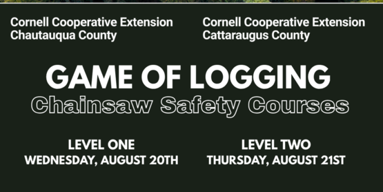 Game of Logging Chainsaw Safety Course will be held August 20th and August 21st.