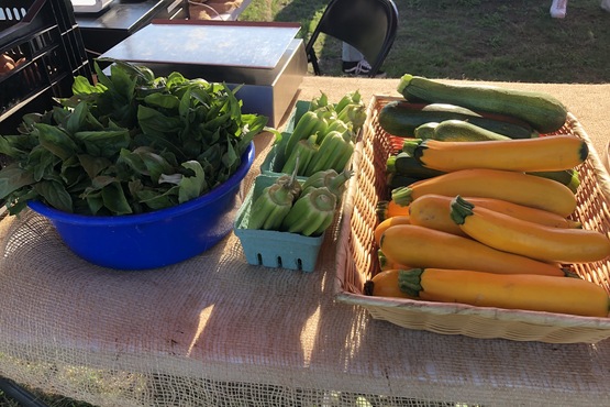 vegetables sac farmers market