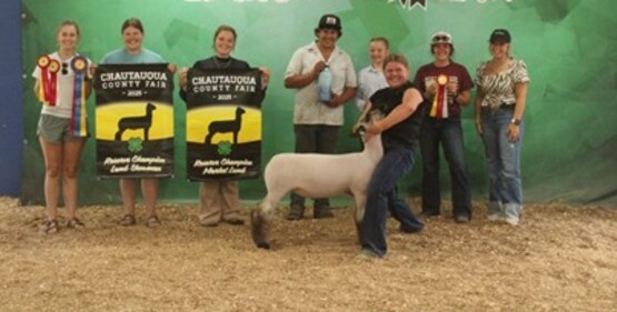 Analyn Kwilos who took home the Reserve Grand Champion Market Lamb and also the Reserve Champion Showmanship Awards in the Market Lamb Show.