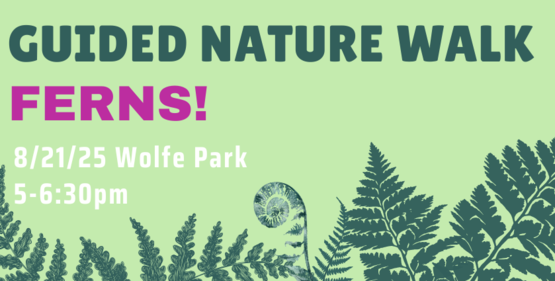 Guided Nature Walk - Ferns Program
