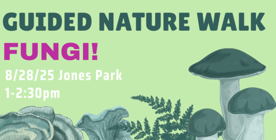 Guided Nature Walk at Jones Park