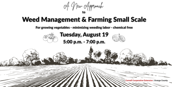weed management banner