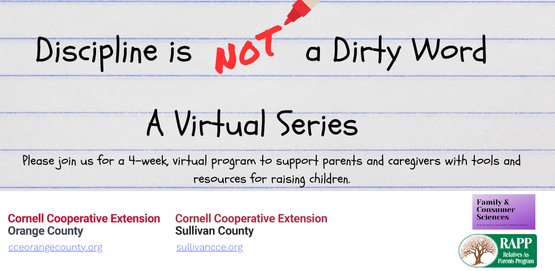Banner for Discipline is Not a dirty word, a virtual series