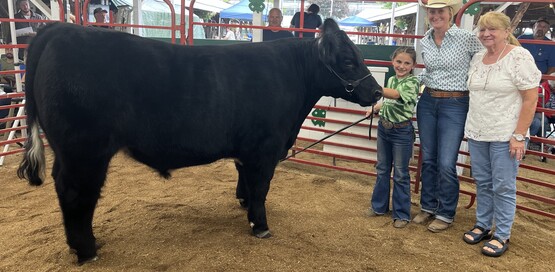 4-H Livestock Auction