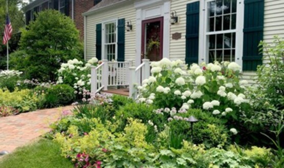 curb appeal for homeowners