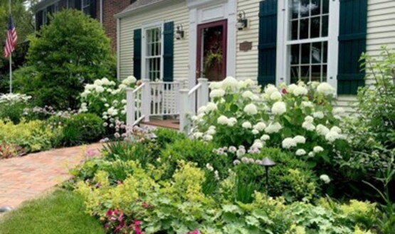 curb appeal for homeowners