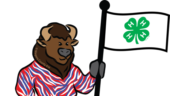 4-H achievement night celebration