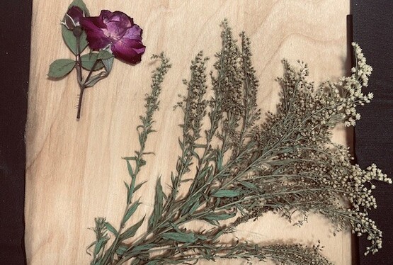Flower Press with pressed flowers