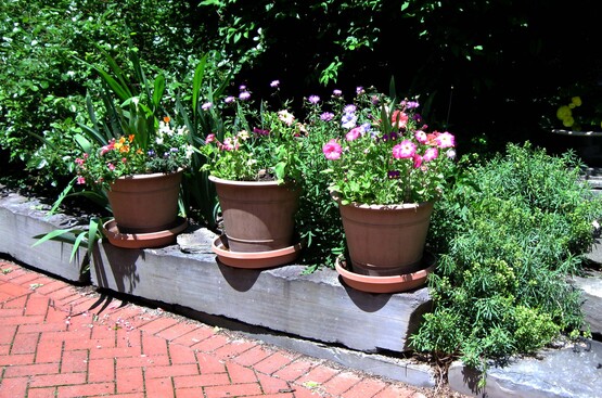 Pots of flowers on a driveway curb, taken in Lansing, NY on the 2013 Open Days Garden Tour