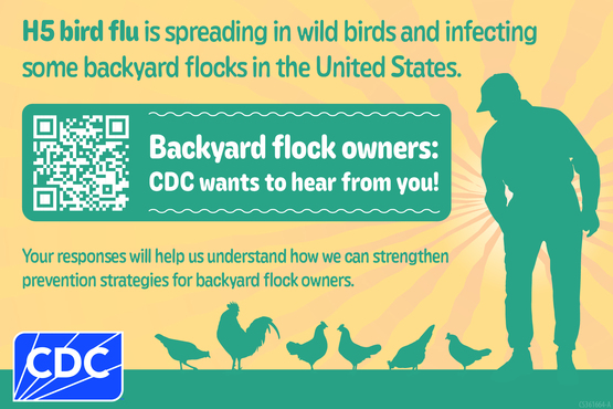 Backyard Flock owners 2025
