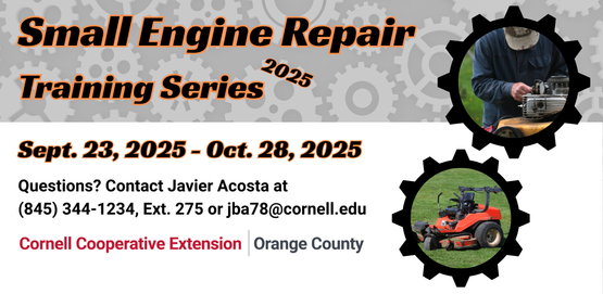 small engine repair training series