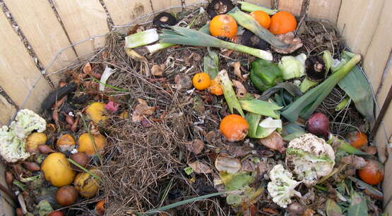 Picture of compost bin