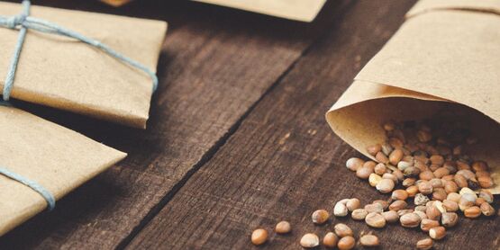 Seed Saving