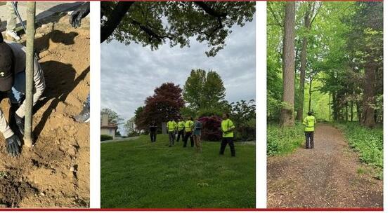 Certified Tree Steward Program