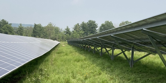 Sheep grazing is an increasingly popular way to combine agriculture with large-scale solar.