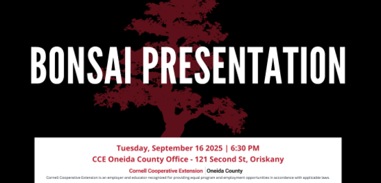 bonsai event