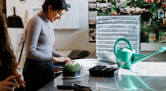 Microgreens