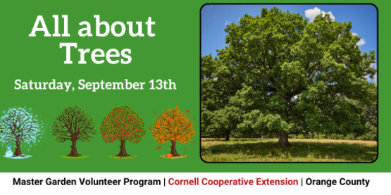 All about Trees!
Saturday, September 13
Master Gardener Volunteer Program
Cornell Cooperative Extension