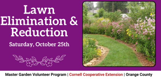 Lawn Elimination & Reduction
Saturday, October 25th
