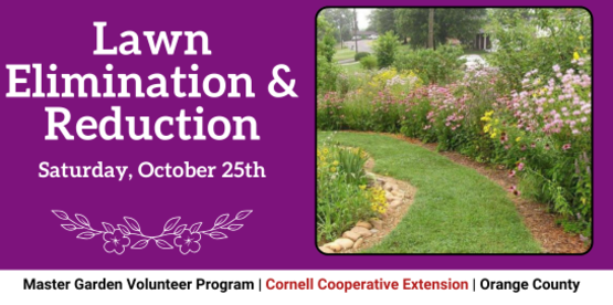 Lawn Elimination & Reduction
Saturday, October 25th