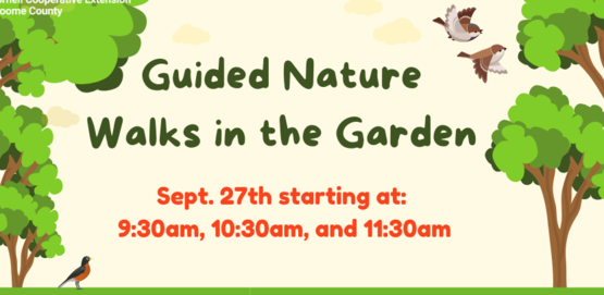 Garden Nature Walks at the Farmers Market