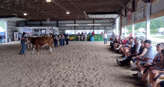 Beef Show