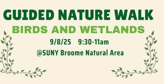 Birds and Wetlands Nature Walk