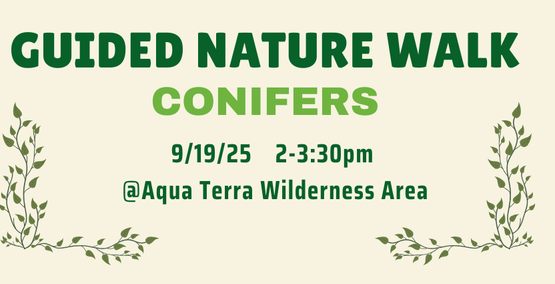 Guided Nature Walk - Conifers