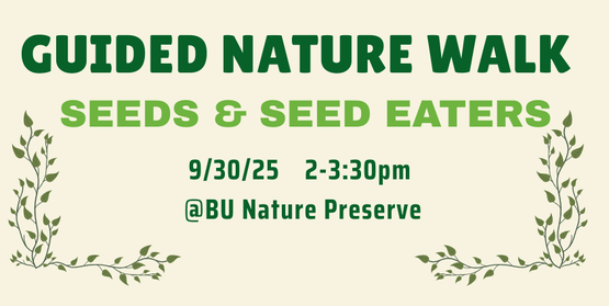 Guided Nature Walk - Seeds and seed eaters