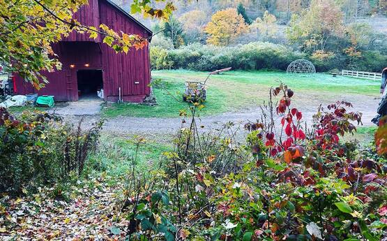 Stony Creek Farmstead