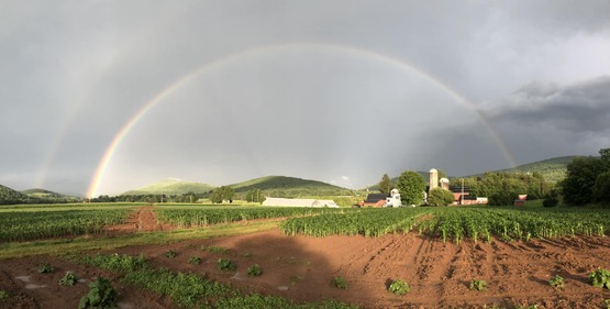 Del-Rose Farm 