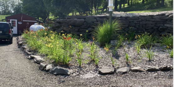Natural Gardens 