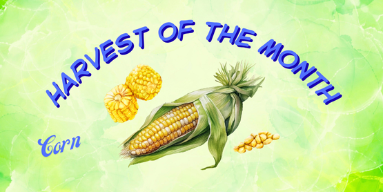 Corn