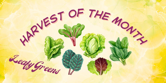 Leafy Greens