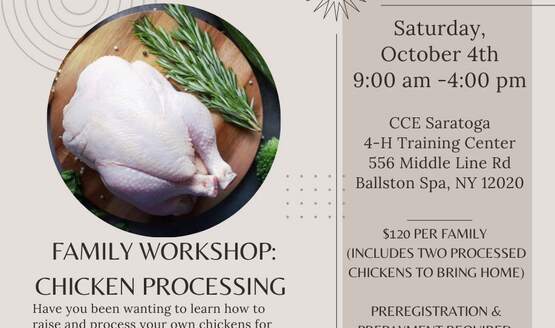 Chicken Processing Workshop