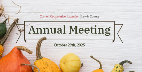 annual meeting better