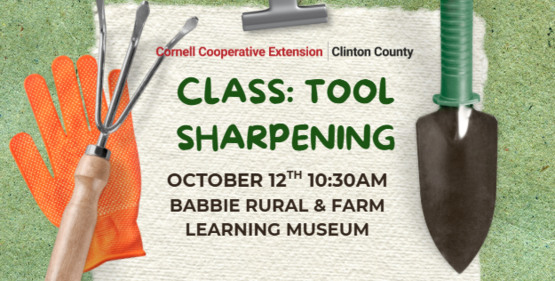 Tool Sharpening Class