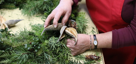 Master Gardener working on a holiday wreath