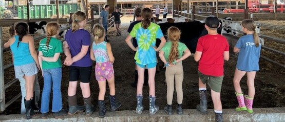 Dairy Showmanship