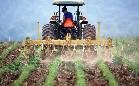 Farmer on a tractor