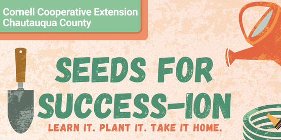 seeds for succession