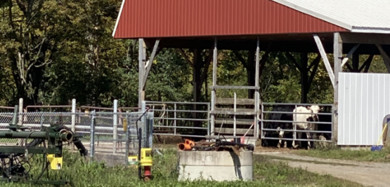 Van-tag Farm 