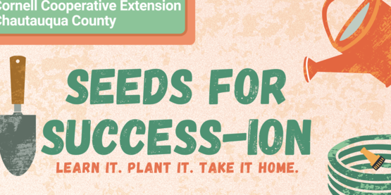 Cornell Cooperative Extension of Chautauqua County invites community members to participate in a free Seeds for Success-ion workshop. This interactive gardening program is designed to teach succession planting, food preservation techniques, as well as promoting healthy eating habits. This workshop will be offered on Thursday, October 16th from 6:00–7:00 p.m. 