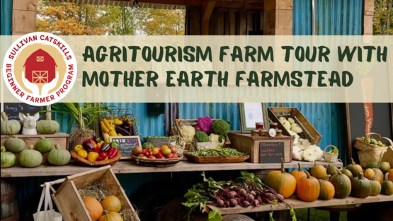 BANNER Agritourism