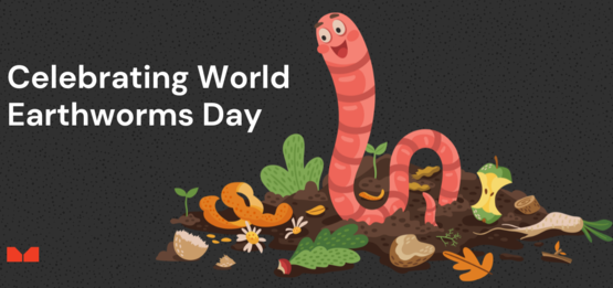 World Earthworm Day graphic