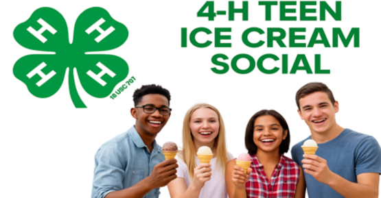 4-H Teen